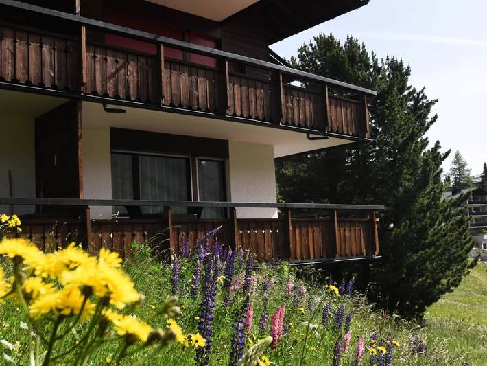 Apartamento entero, 2 estancias 4 Personas in Arosa (Grisones), Plessur alps