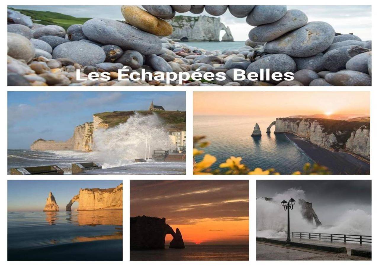 Appartement entier, Les Echapées belles in Falaises d'Etretat, Étretat