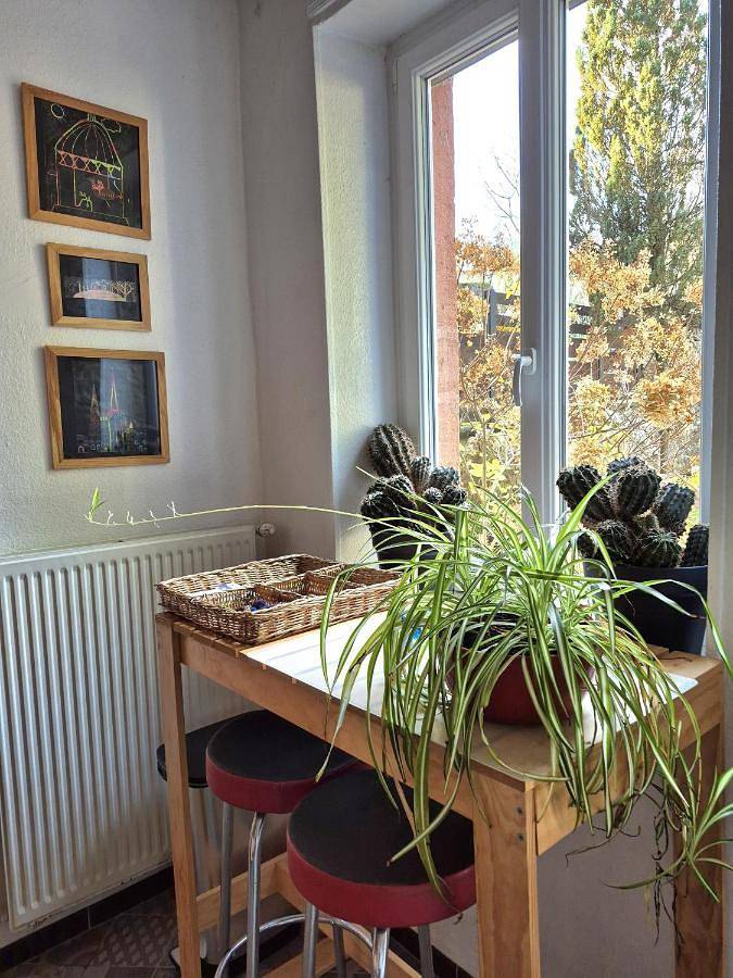 Gîte pour 4 personnes, avec jardin et vue à Senones - 4