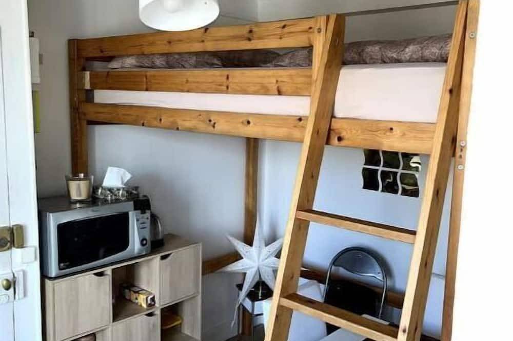Appartement entier, Appartement                                                                    . in Le Kremlin-Bicêtre, Val-de-Marne