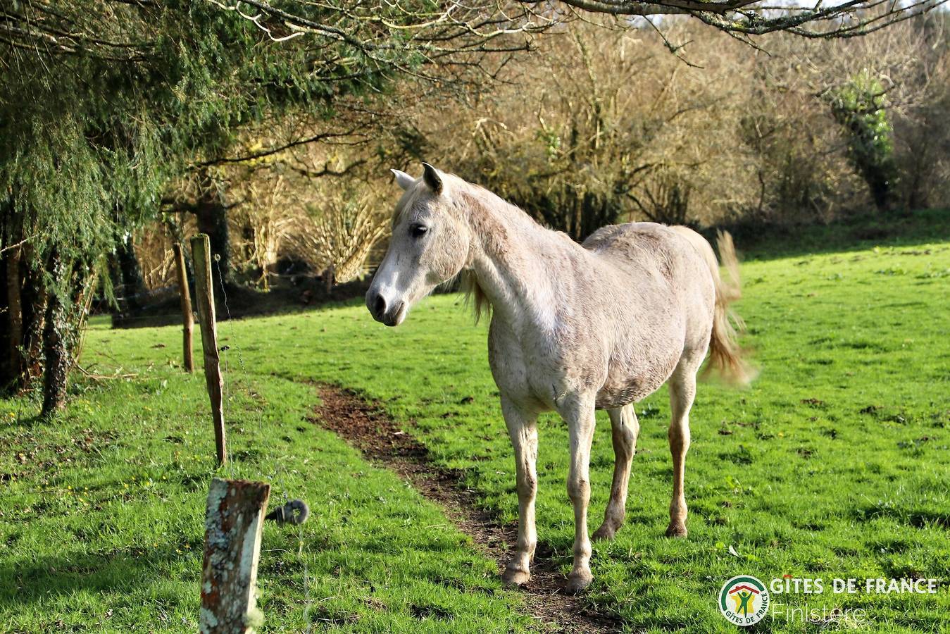Ty melen in Huelgoat, Châteaulin und Umgebung