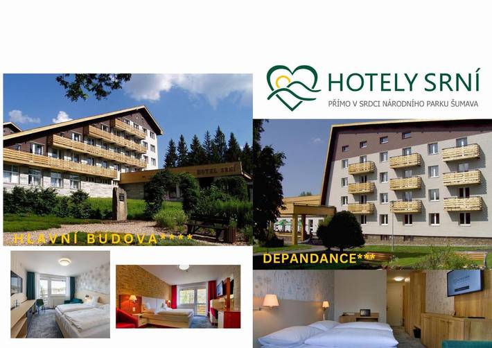 Hotel für 3 Personen, mit Sauna und Terrasse sowie Pool, mit Haustier im Böhmerwald