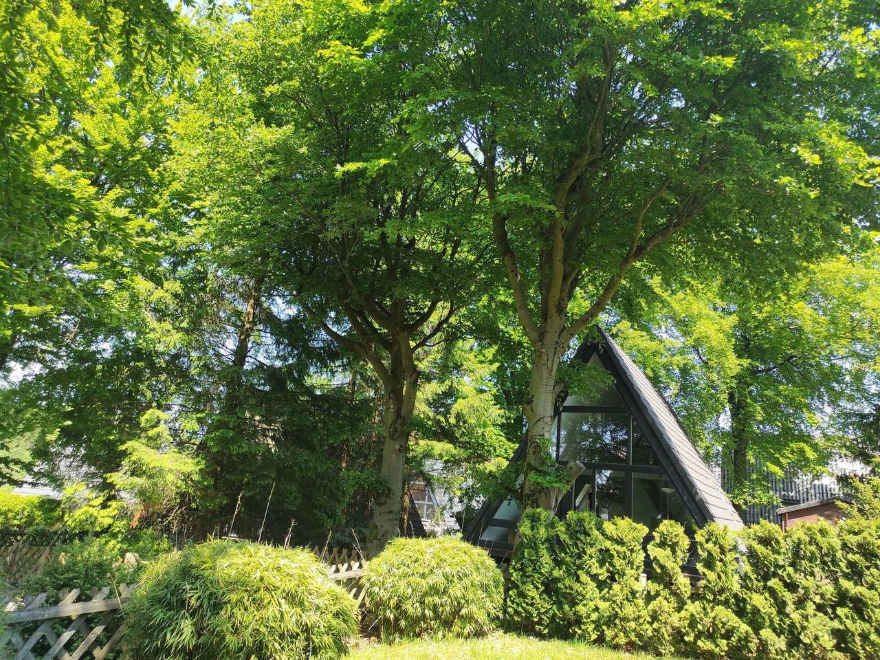 Hexenhaus im Harz - Hexenhaus im Harz 105.1 in Clausthal-Zellerfeld, Harzvorland