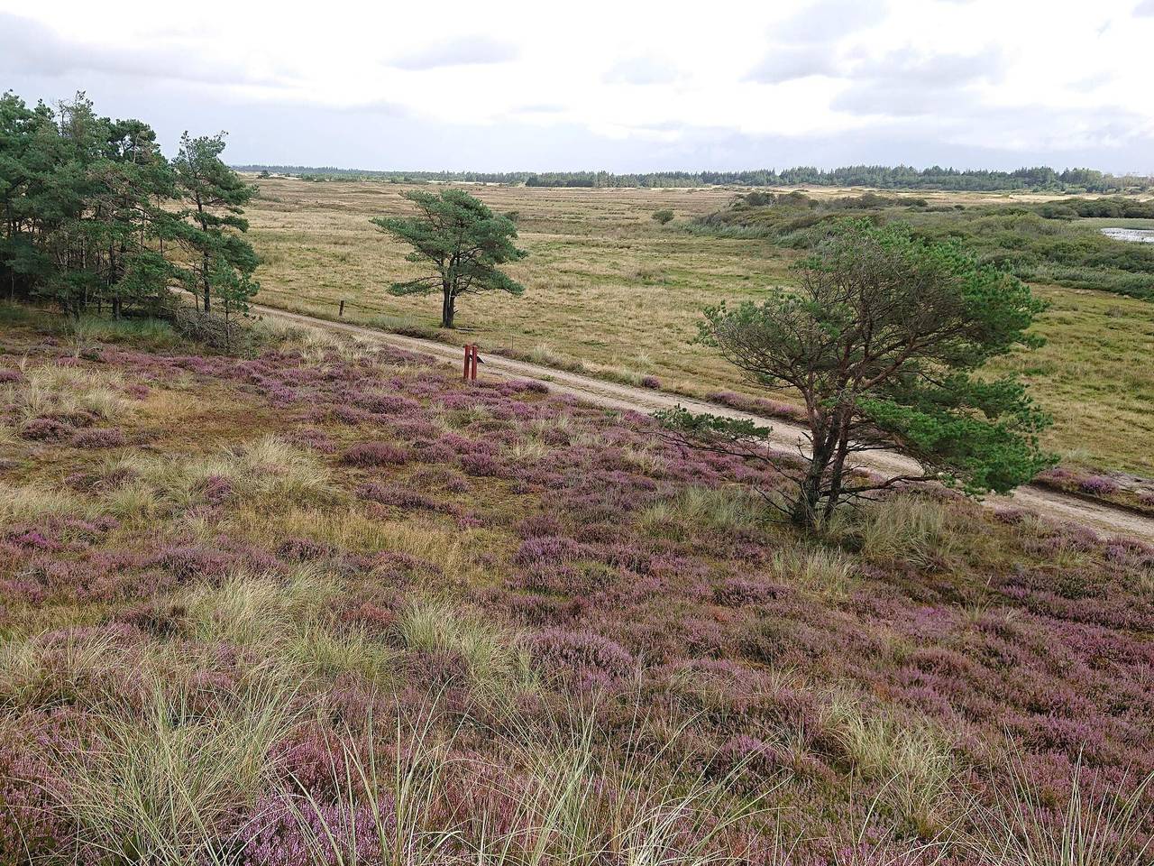 Renoveret sommerhus i Hejlsminde in Vejers Strand, Varde Kommune