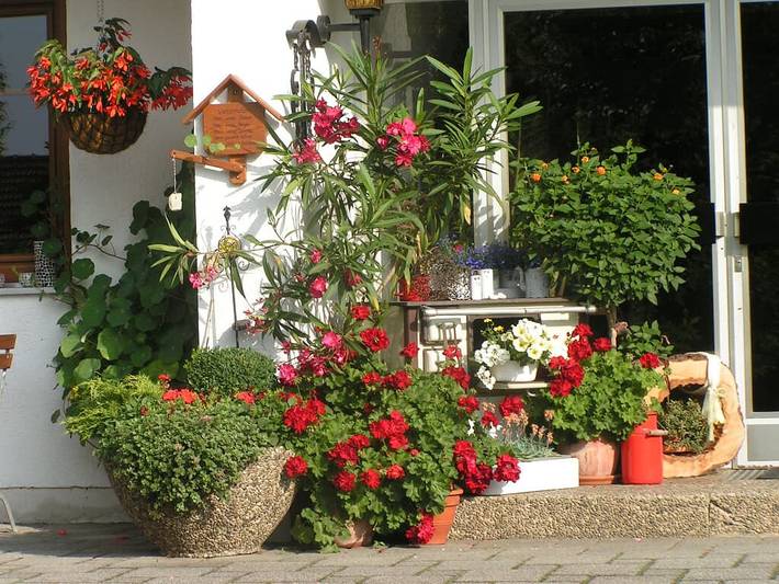 Pension Zum Ebenstein am Donausteig - Doppelzimmer (ca. 18 qm) in Untergriesbach, Ostbayern