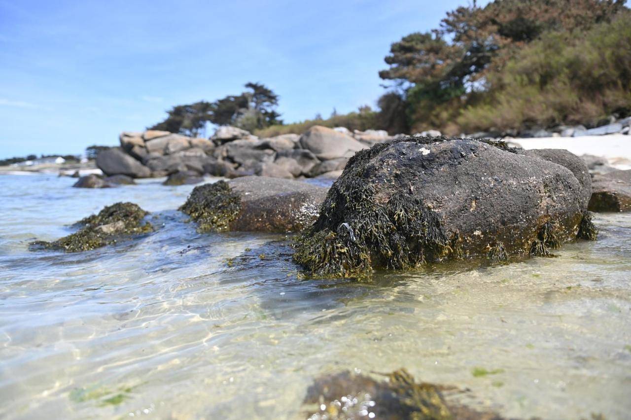 Entre Terre et Mer in Plougoulm, Ceinture Dorée