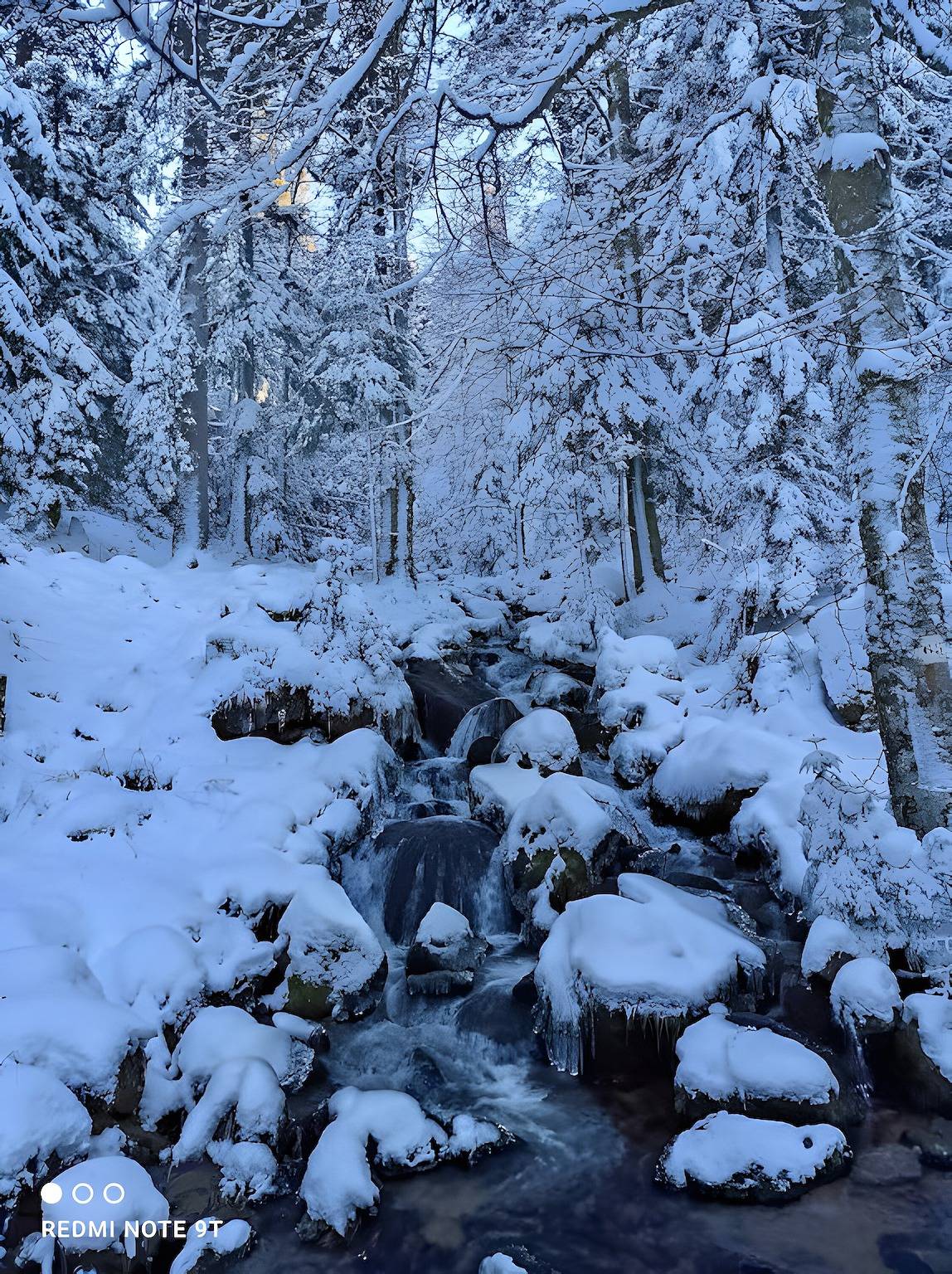 Gîte “Brimbelle - La Petite Meurthe” with Mountain View, Private Garden & Wi-Fi in Ban-sur-Meurthe-Clefcy, Parc naturel régional des Ballons des Vosges
