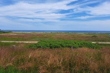 Vakantiehuis voor 8 Personen in Juelsminde, Little Belt, Afbeelding 1
