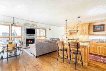 Vacation Apartment for 8 Guests in Telluride, Telluride Ski Resort, Picture 3