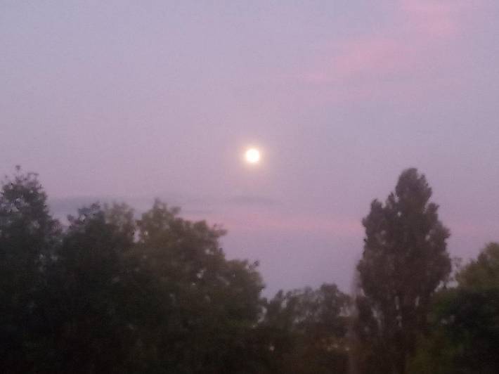 Location de vacances pour 8 personnes, avec jardin ainsi que piscine et vue à Saint-André-de-Sangonis - 3