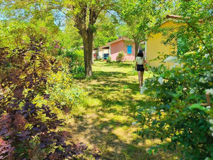 Gîte pour 7 personnes, avec bassin pour enfant, animaux acceptés à Montlaur (Midi-Pyrénées) - 3
