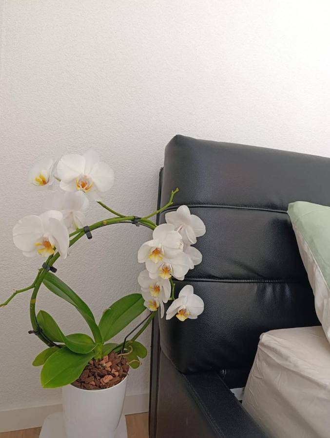 Ferienwohnung für 3 Personen, mit Balkon und Ausblick in Zell im Wiesental
