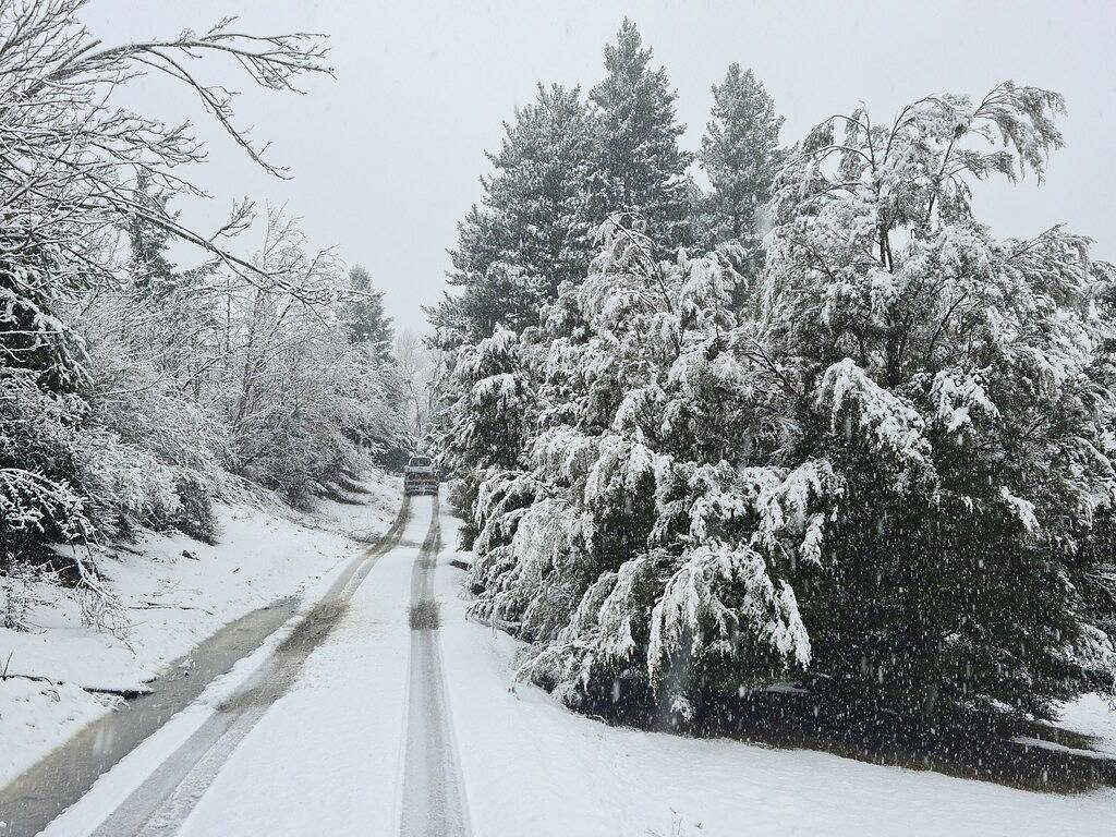 Hanmer Tree House - einzigartige Lage am Waldrand in Hanmer Springs, Hurunui District