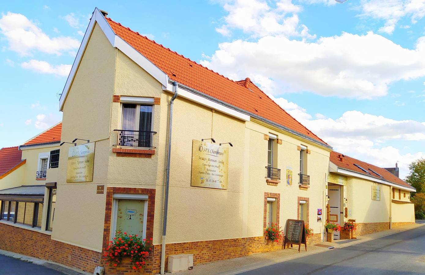 Millésime in Écueil, Parc naturel régional de la Montagne de Reims