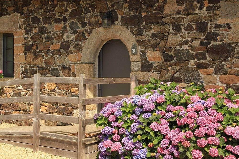 Les cormorans in Plougasnou, Ceinture Dorée