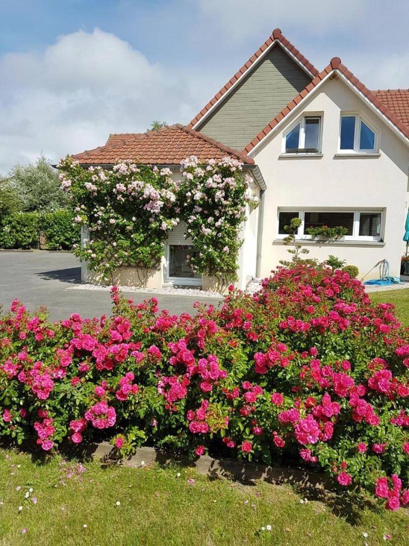 Chambres d'Hôtes La Villa des Hortensias in Berck, Région de Montreuil