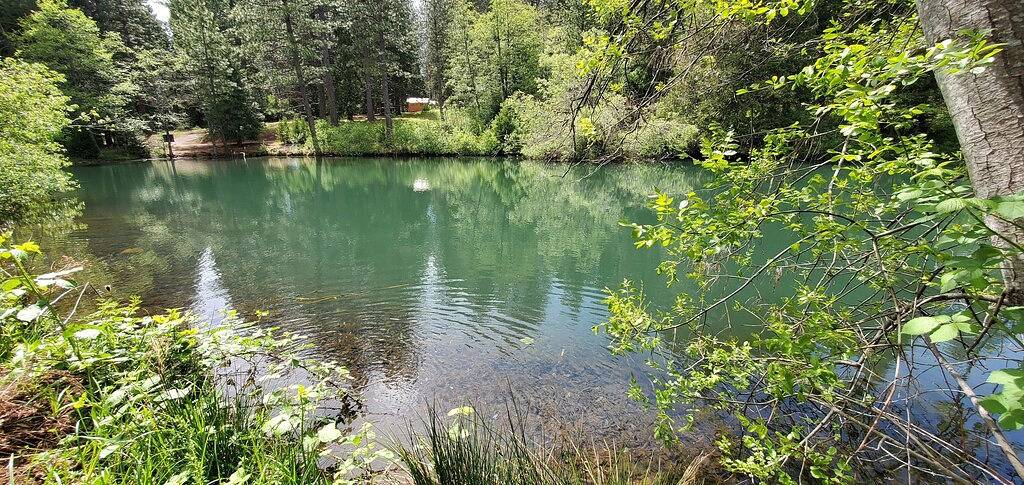 Cottage #2 with a Lake and Creek, 15 mi to Lassen Np in Shasta County