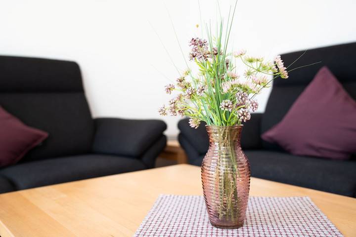 Ferienhaus für 4 Personen, mit Terrasse und Garten in Zingst - 2