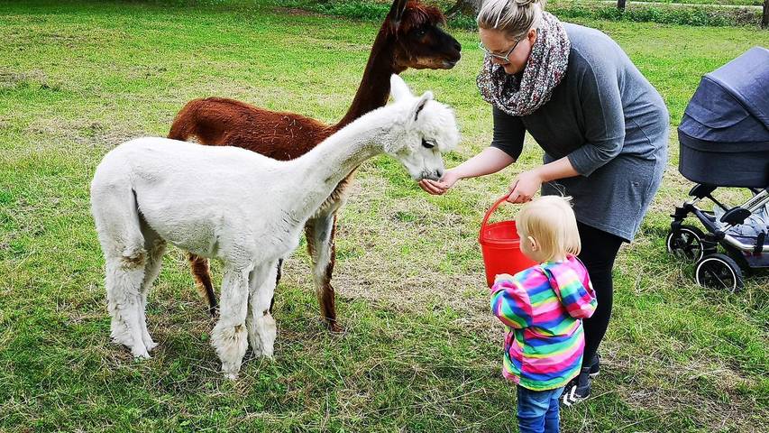 Ferienhaus für 6 Personen, mit Garten in der Lüneburger Heide - 2