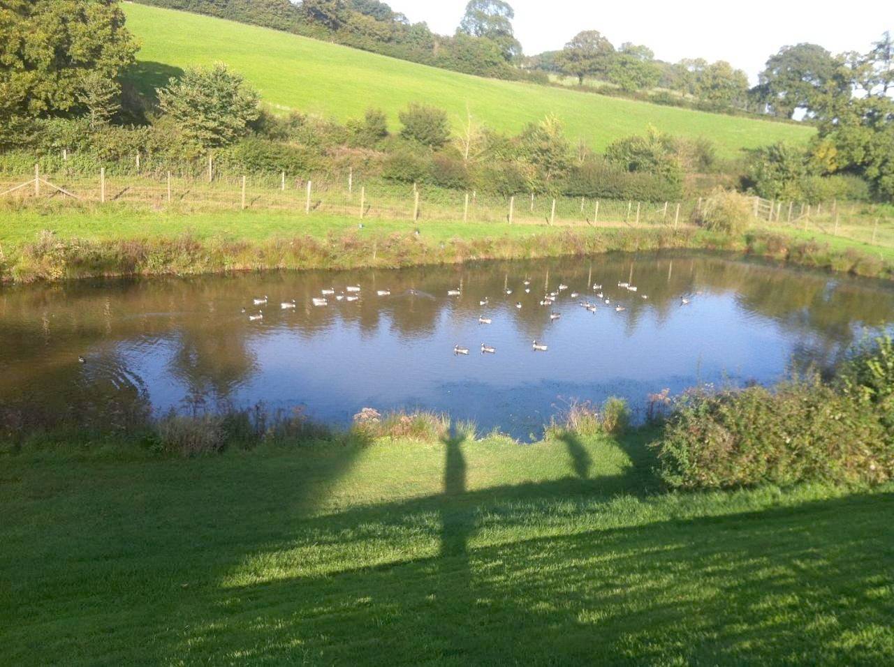 Deluxe Family Room in Cheriton Fitzpaine, Devon
