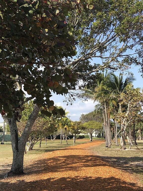 Ganze Wohnung, Für Herbstaufenthalte neu bewertet - Jupiter: \"Es ist nicht von dieser Welt!\" in Jupiter, Palm Beach County