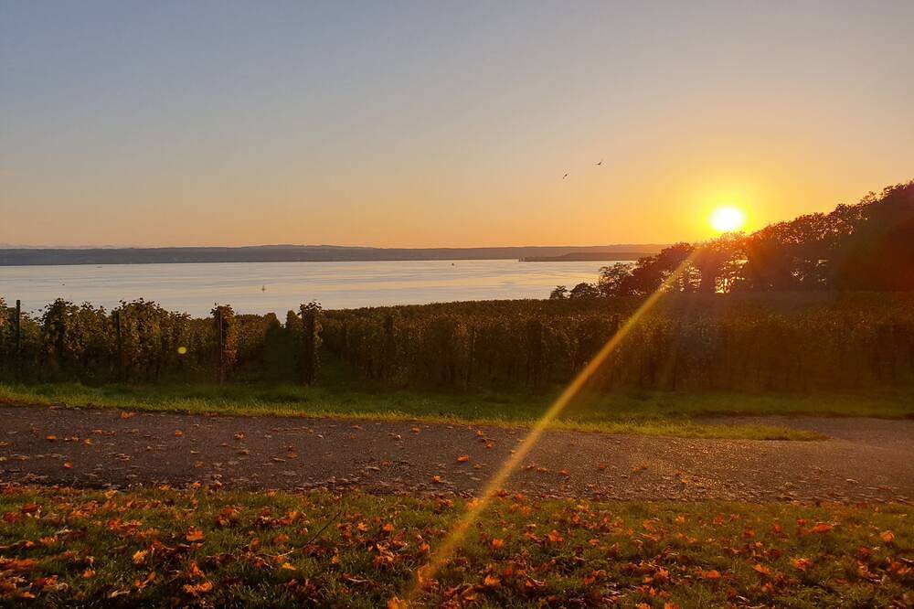 Ganze Wohnung, Ferienwohnung zwischen Bodensee und Donau in Meßkirch, Region Bodensee-Oberschwaben