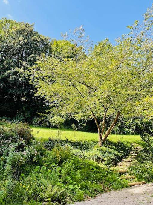 Villa pour 8 personnes, avec jardin à Deauville - 3