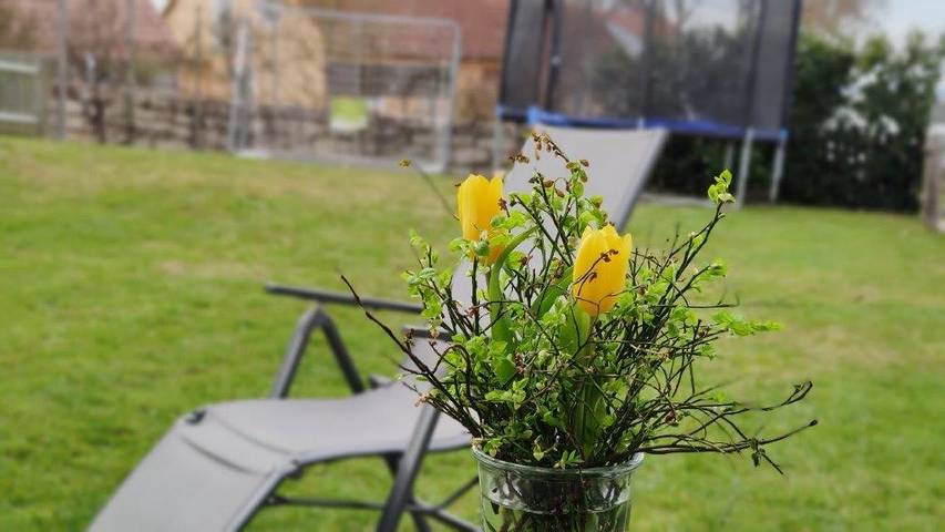 Ferienwohnung für 4 Personen, mit Balkon/Terrasse und Terrasse sowie Sauna in Altmühlsee - 4