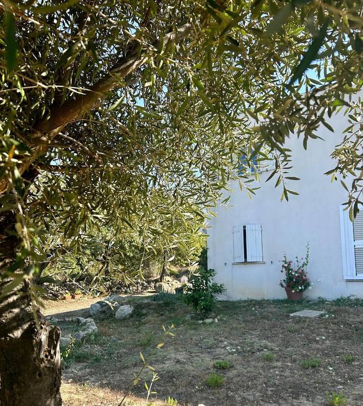 Gîte pour 6 personnes, avec vue ainsi que balcon et jardin à Feliceto - 3