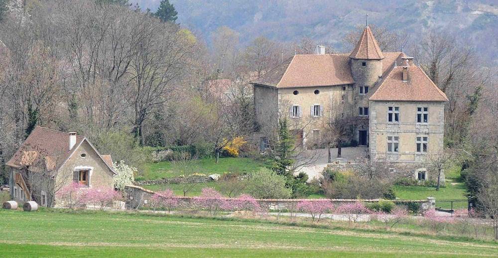 Château de Pâquier - Chambre familiale de la forêt in Saint-Martin-de-la-Cluze, Vercors