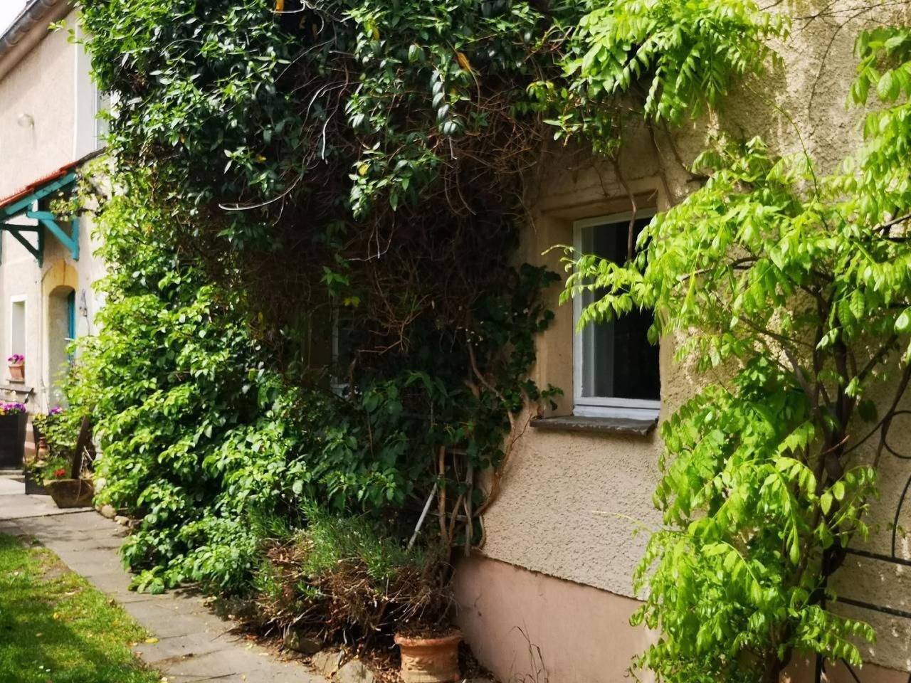 Ganze Wohnung, Landurlauberzgebirge in Glashütte, Mittlere Erzgebirge