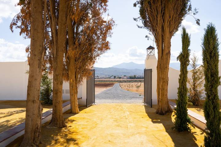 Cortijo El Solano, con Piscina Privada y la esencia de Andalucía in Antequera, Provincia de Málaga