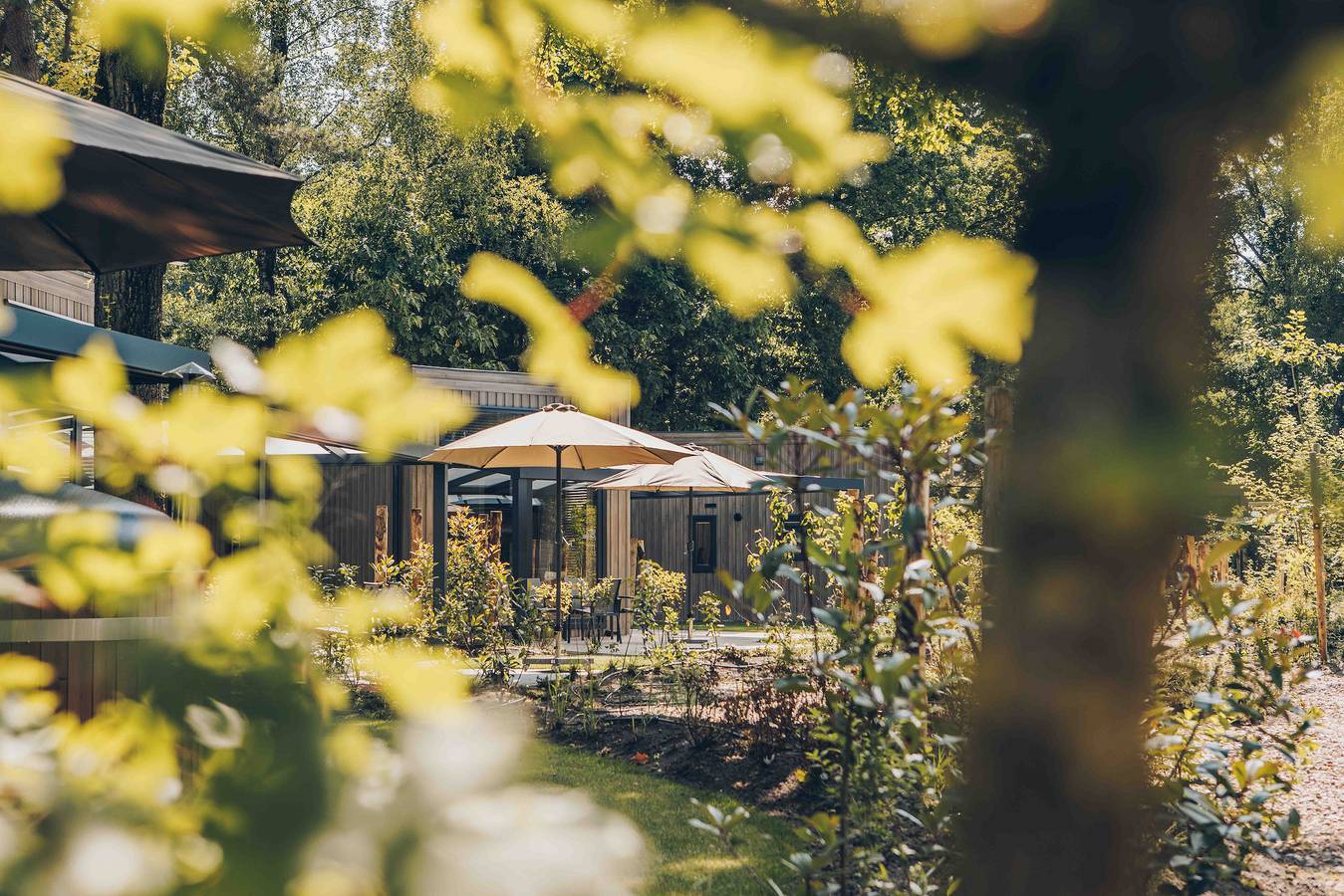 Veluwepark de Bosgraaf — Reeëndal Lodge Comfort | 4 Personen  in Veluwe
