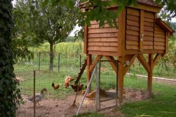 Casa Rural para 2 Personas en Scherwiller, Región de Sélestat-Erstein, Foto 4