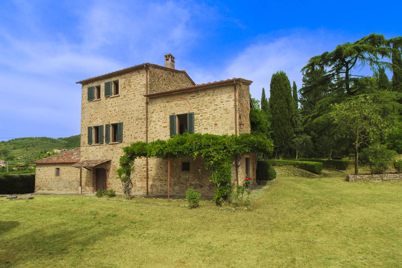 Olivo in Arezzo, Province d'Arezzo