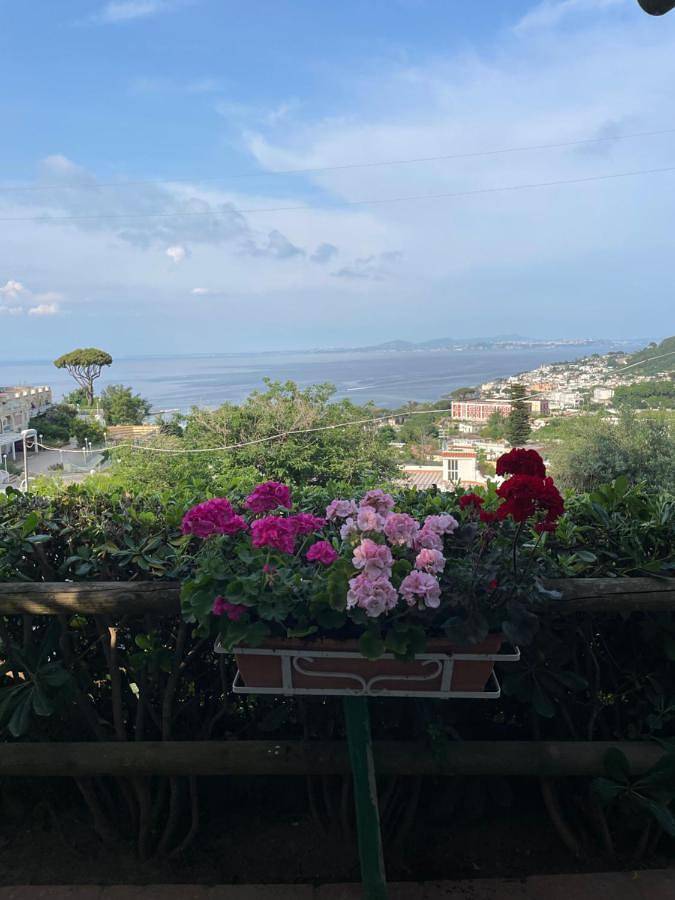 Maison d’hôte pour 6 personnes, avec vue et jardin dans Ischia - 3