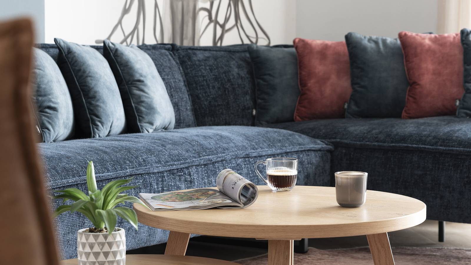 Duingras in Nieuwvliet, Zeeuwse Kust