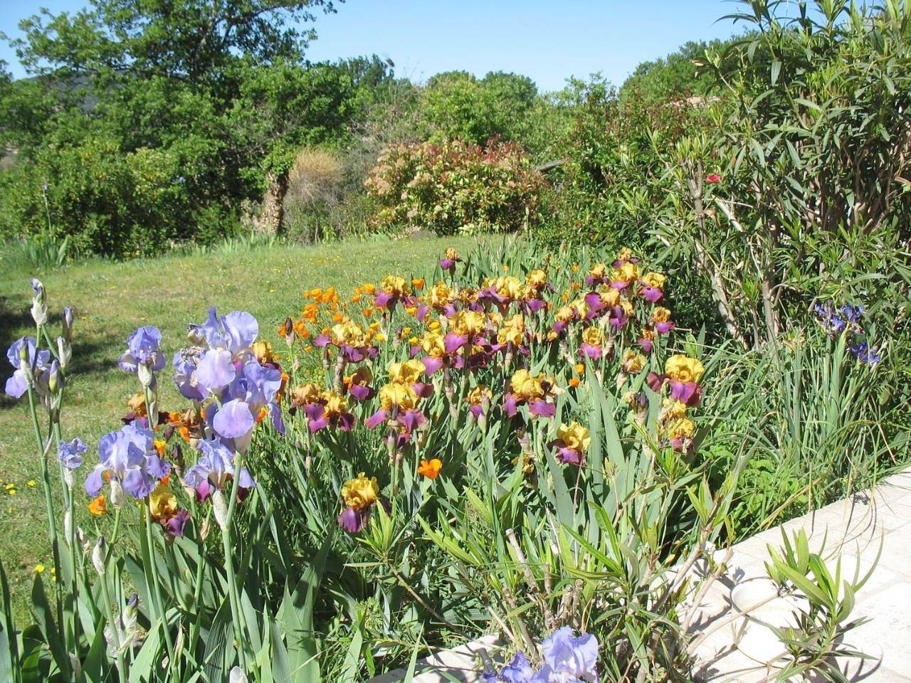 B&B La Cigaline in Villedieu, Vaucluse