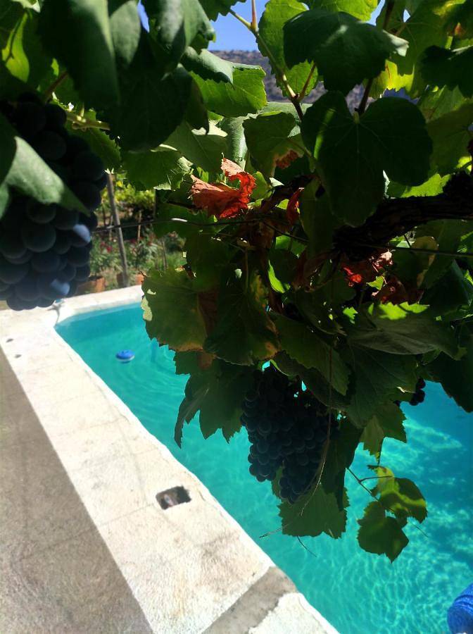 Alojamiento y desayuno para 4 personas, con vistas además de piscina y jardín en Alpujarra Almeriense - 2