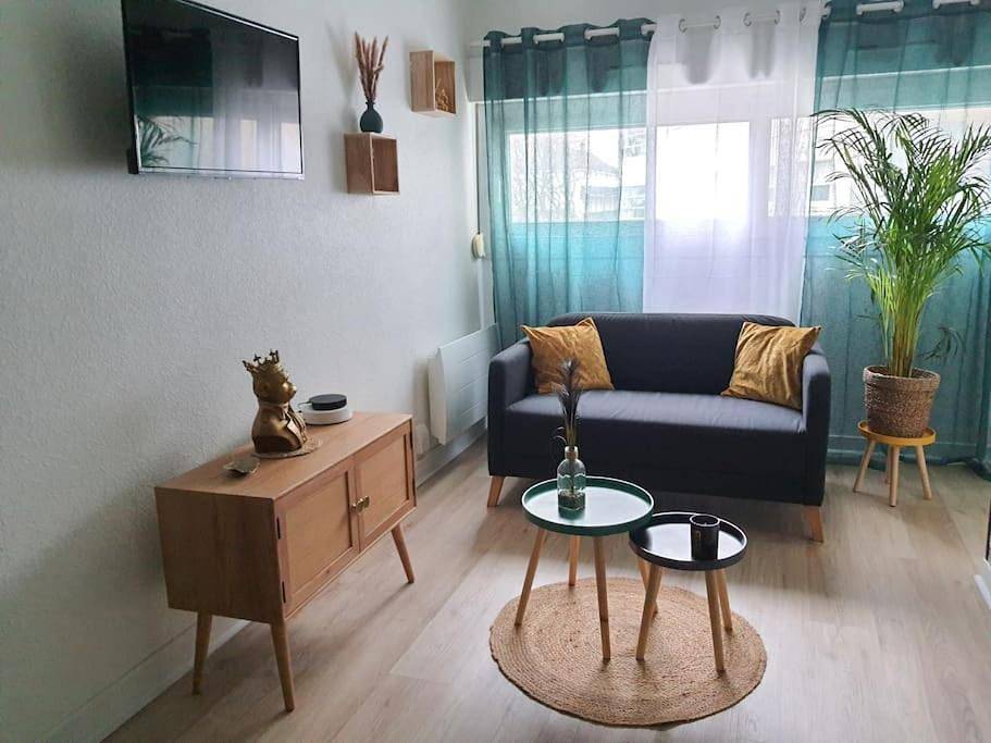 Appartement entier, Le Ouistiti - 50 m de la Gare - Parking Privé in Tours, Région de Tours