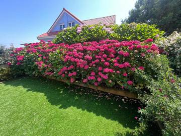 Gîte pour 6 personnes, avec jardin ainsi que piscine et terrasse dans Cóbreces