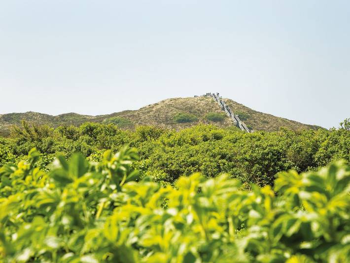 Ferienwohnung für 4 Personen, mit Terrasse in Kampen (Sylt) - 2