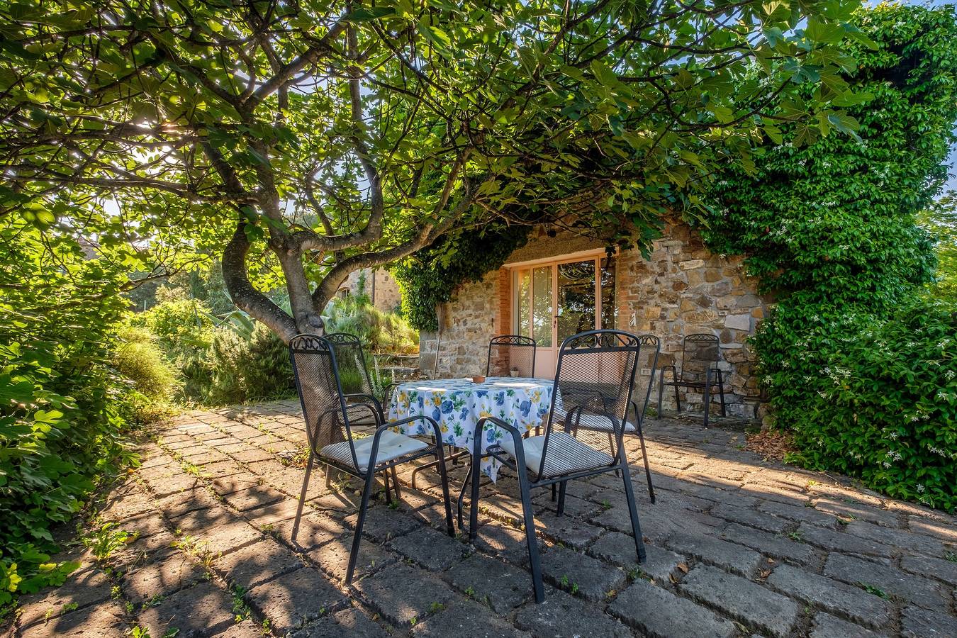 Agriturismo 'Stella Sud Podere Carbone' con terrazza e Wi-Fi in Scansano, Provincia di Grosseto
