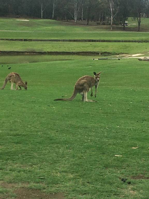 Idyllic Family Getaway on a farm - Blue Mountain in Sydney, Blue Mountains