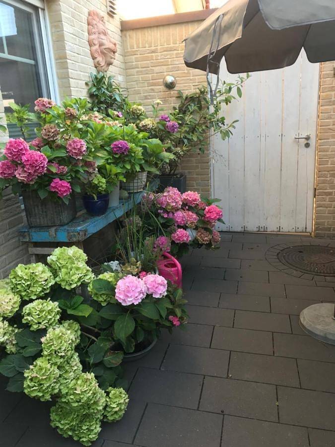 Ferienwohnung für 2 Personen, mit Terrasse in Telgte - 3