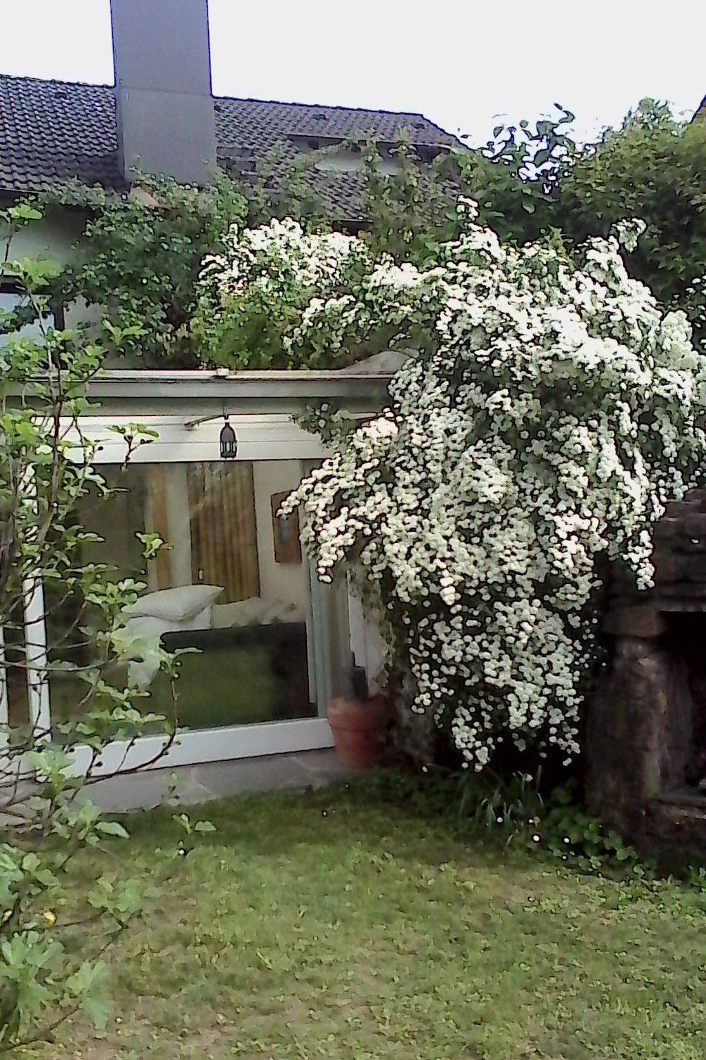 Ganze Wohnung, Urlaub am Feigenbaum in Nußloch in Nußloch, Kraichgau