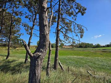 Ferienhaus für 14 Personen in Kegnæs, Kleiner Belt, Bild 3