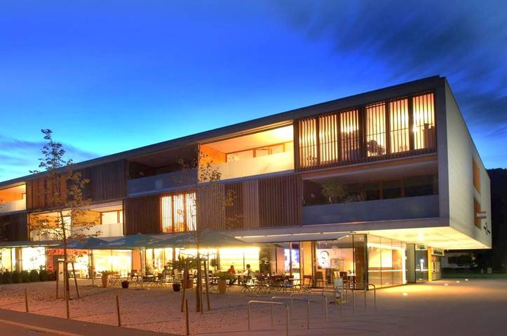 Hôtel pour 2 personnes, avec vue, animaux acceptés à Feldkirch - 4