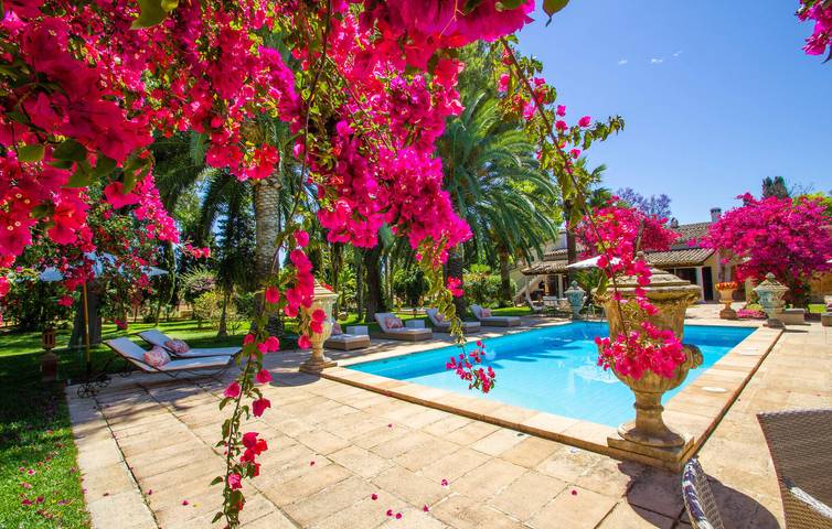 Acogedor Apartamento con Piscina y Terraza cerca de Binissalem in Binisalem, Interior de Mallorca