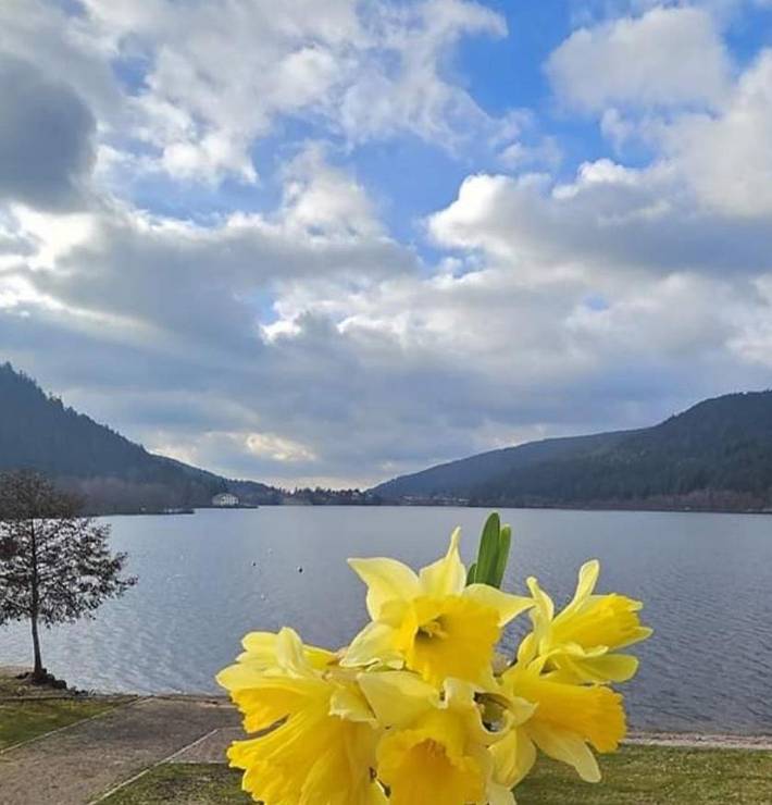 Location de vacances pour 2 personnes, avec Balcon ainsi que Vue sur le lac et Vue dans Lac de Gérardmer